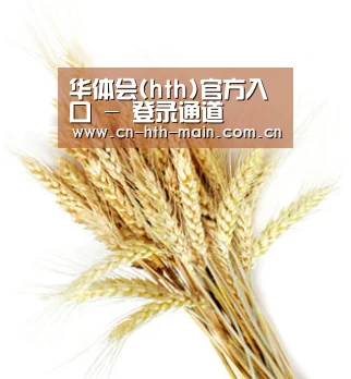 华体会(hth)官方入口 - 登录通道